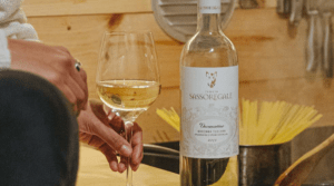 a bottle of Sassoregale Vermentino next to a person holding a glass of red wine while cooking pasta