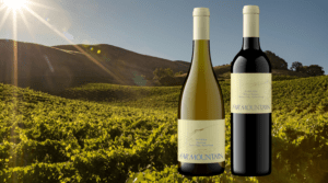 two bottles of far mountain wines on a background of the vineyard